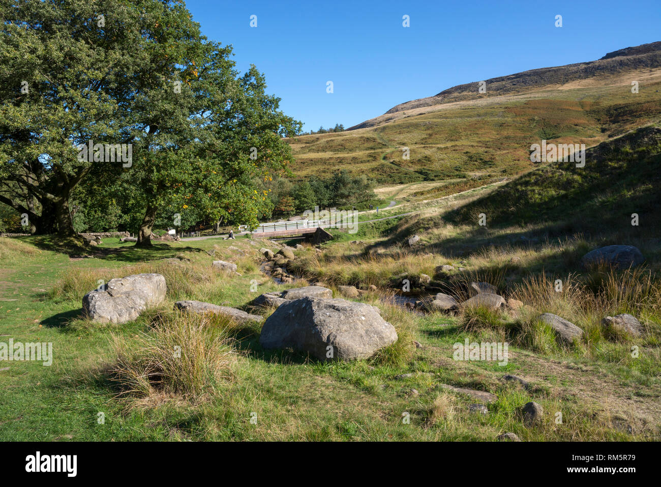 Masticare Brook, Colomba serbatoio di pietra, Greenfield, Peak District, Inghilterra. Foto Stock