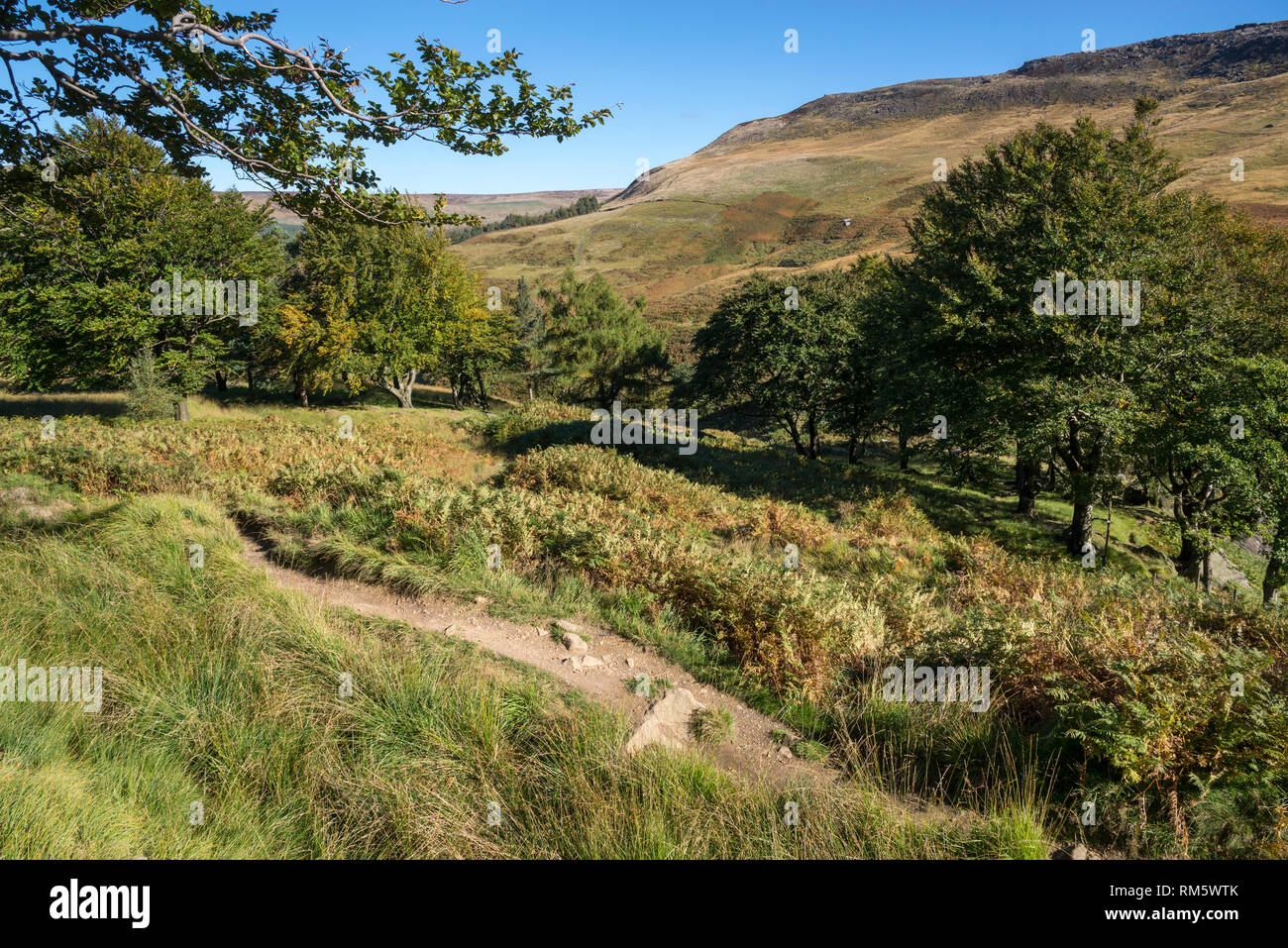 Sentiero sulle colline intorno alla colomba serbatoio di pietra, Greenfield, Peak District, Inghilterra. Foto Stock