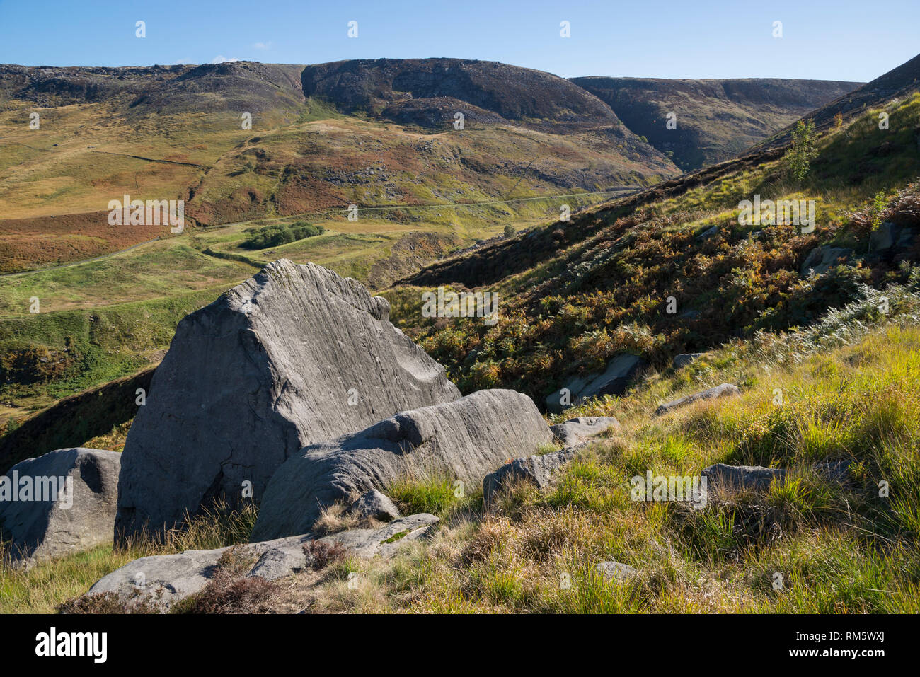Settembre sulle colline intorno alla colomba serbatoio di pietra, Greenfield, Greater Manchester, Inghilterra. Foto Stock