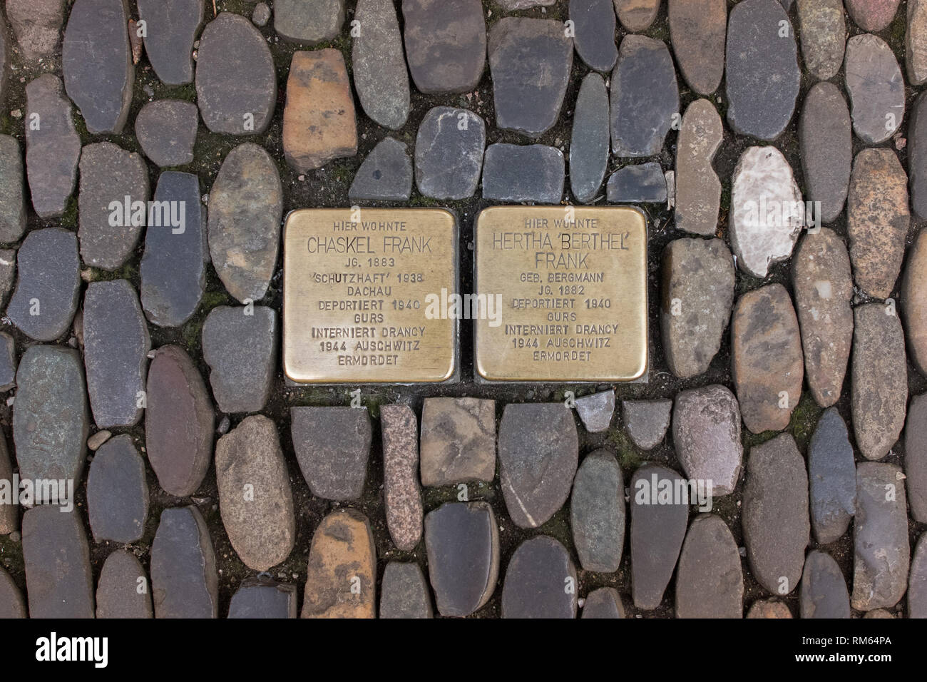 Stolperstein o pietre di inciampo, placche in ottone su una strada a Friburgo in Germania, Europa Foto Stock