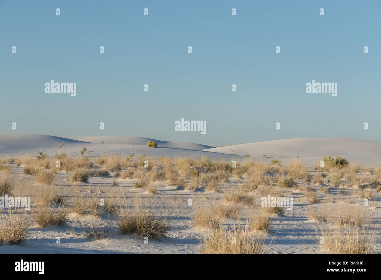 Scoprire le cose più importanti da fare a White Sands, Nuovo Messico. Esplorare il più grande del mondo di gesso dune di sabbia di White Sands National Monument. Foto Stock