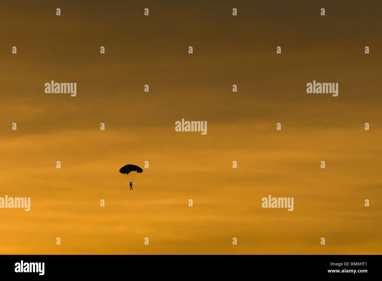 Silhouette di parachutist battenti lentamente sul paracadute nel bellissimo cielo al tramonto. Foto Stock