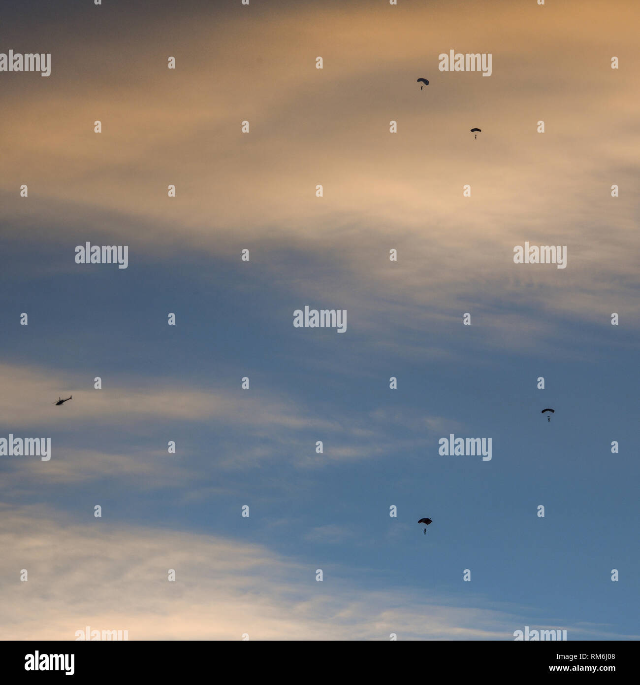 Silhouette di parachutist battenti lentamente sul paracadute nel cielo al tramonto dopo il salto da un elicottero. Foto Stock