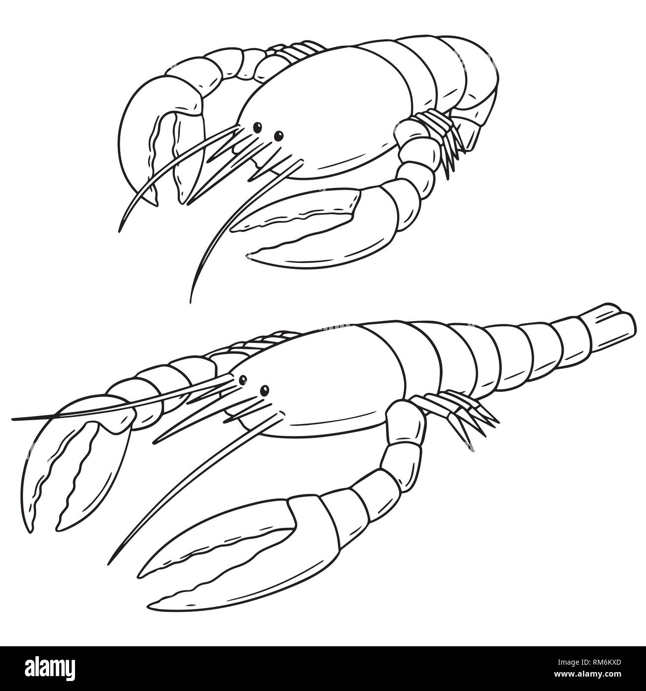 Set di vettore di aragosta Illustrazione Vettoriale