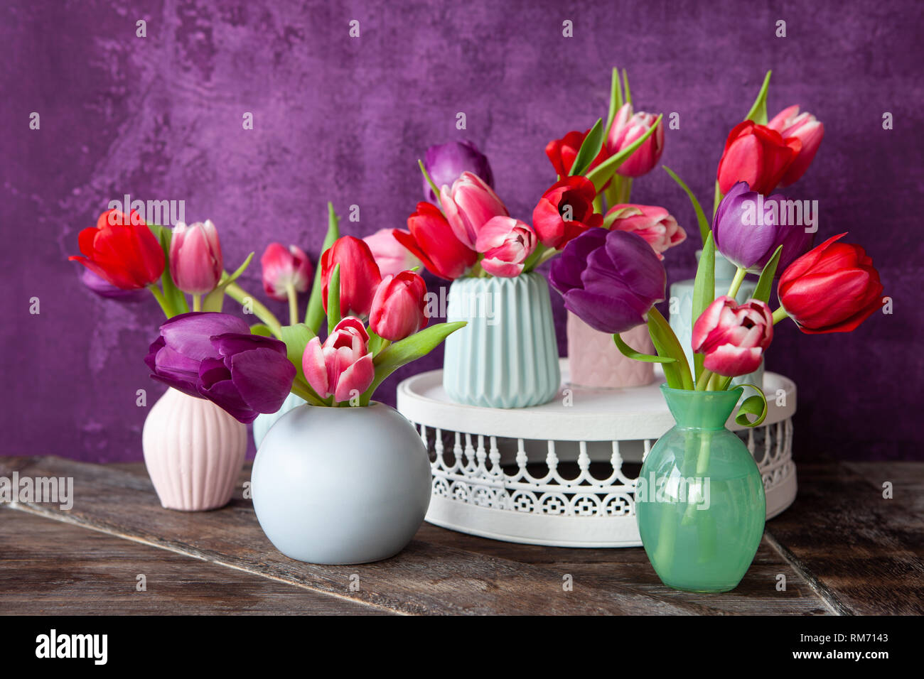 Tulipani colorati in primavera davanti a sfondo viola Foto Stock