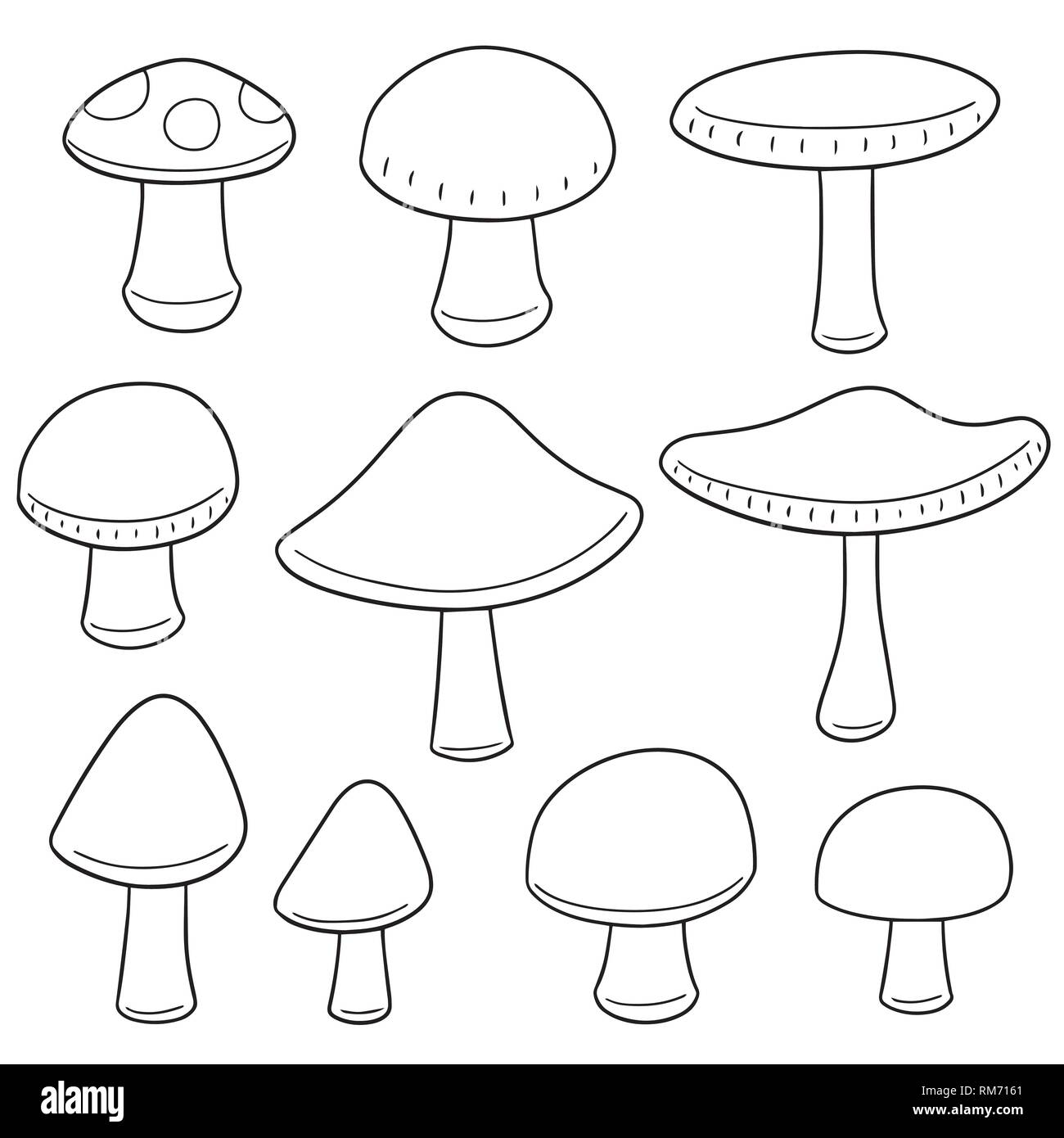 Set di vettore di fungo Illustrazione Vettoriale