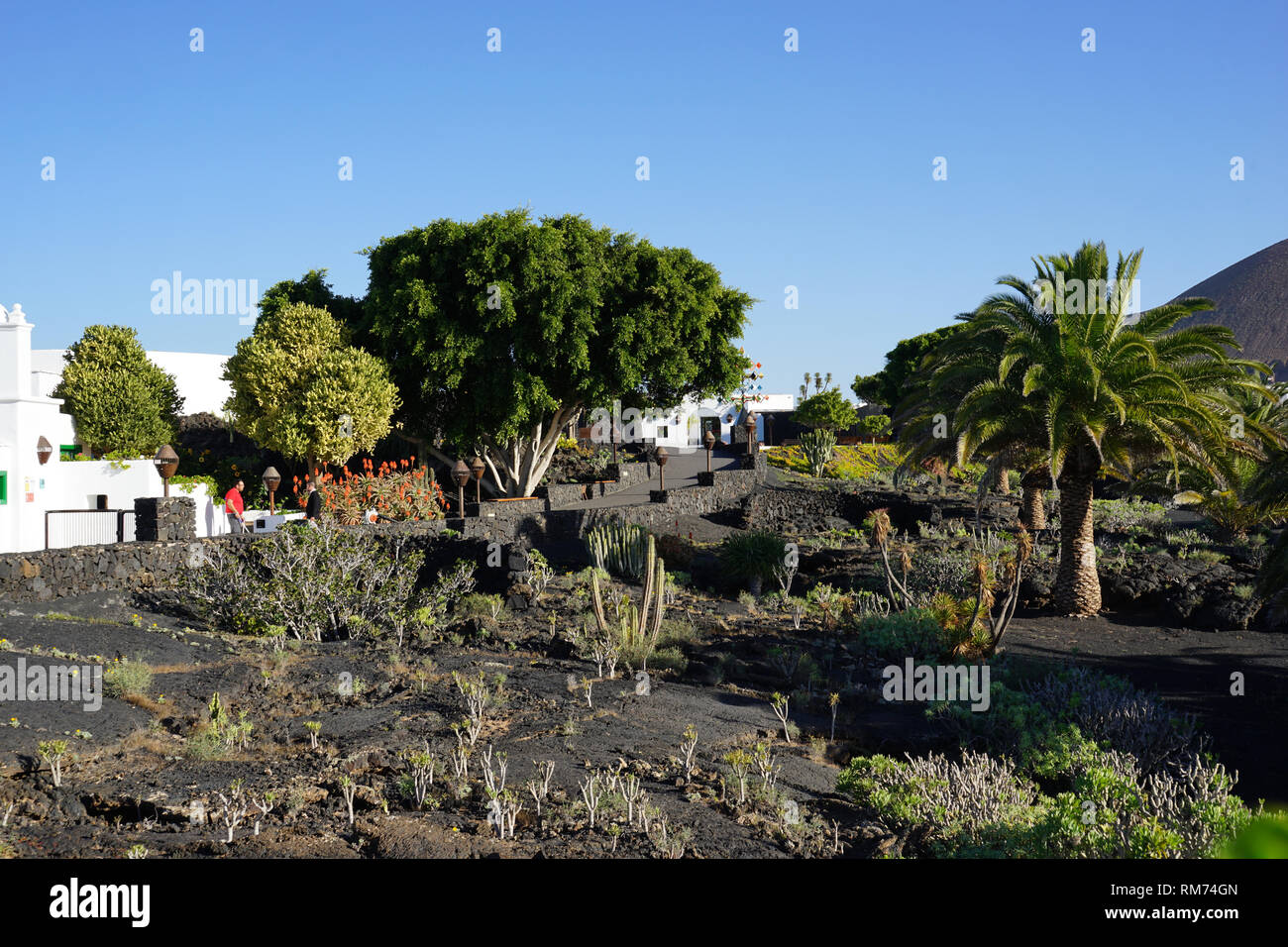 Vulkanhaus, Garten, Fundación César Manrique, Vulkan und Architektur, museo, Tahiche, Lanzarote, Kanarische isole, Spanien Foto Stock
