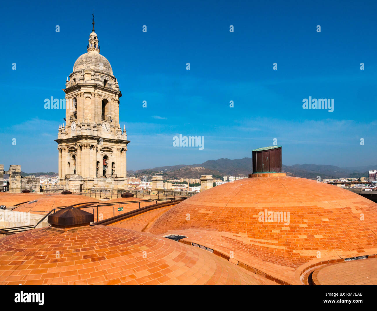 Insolita cupola del tetto in mattoni e la torre campanaria, Basilica Cattedrale, Malaga, Andalusia, Spagna Foto Stock