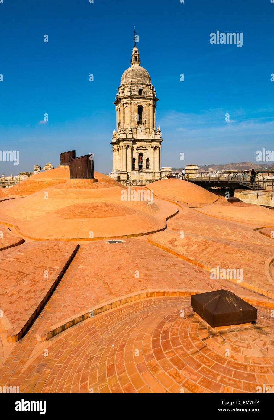 Insolita cupola del tetto in mattoni e la torre campanaria, Basilica Cattedrale, Malaga, Andalusia, Spagna Foto Stock