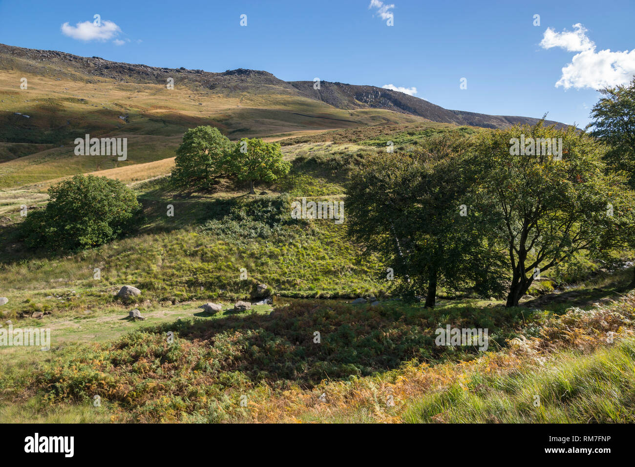Settembre sulle colline intorno alla colomba serbatoio di pietra, Greenfield, Greater Manchester, Inghilterra. Vista di masticare colline. Foto Stock