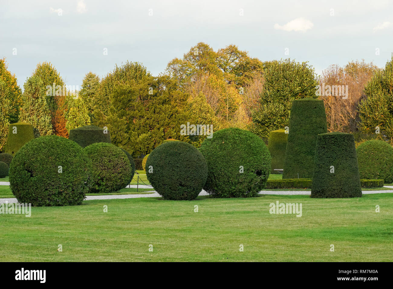 Rifilato e arbusti sagomato in Schönbrunn Palace Gardens a Vienna, in Austria Foto Stock