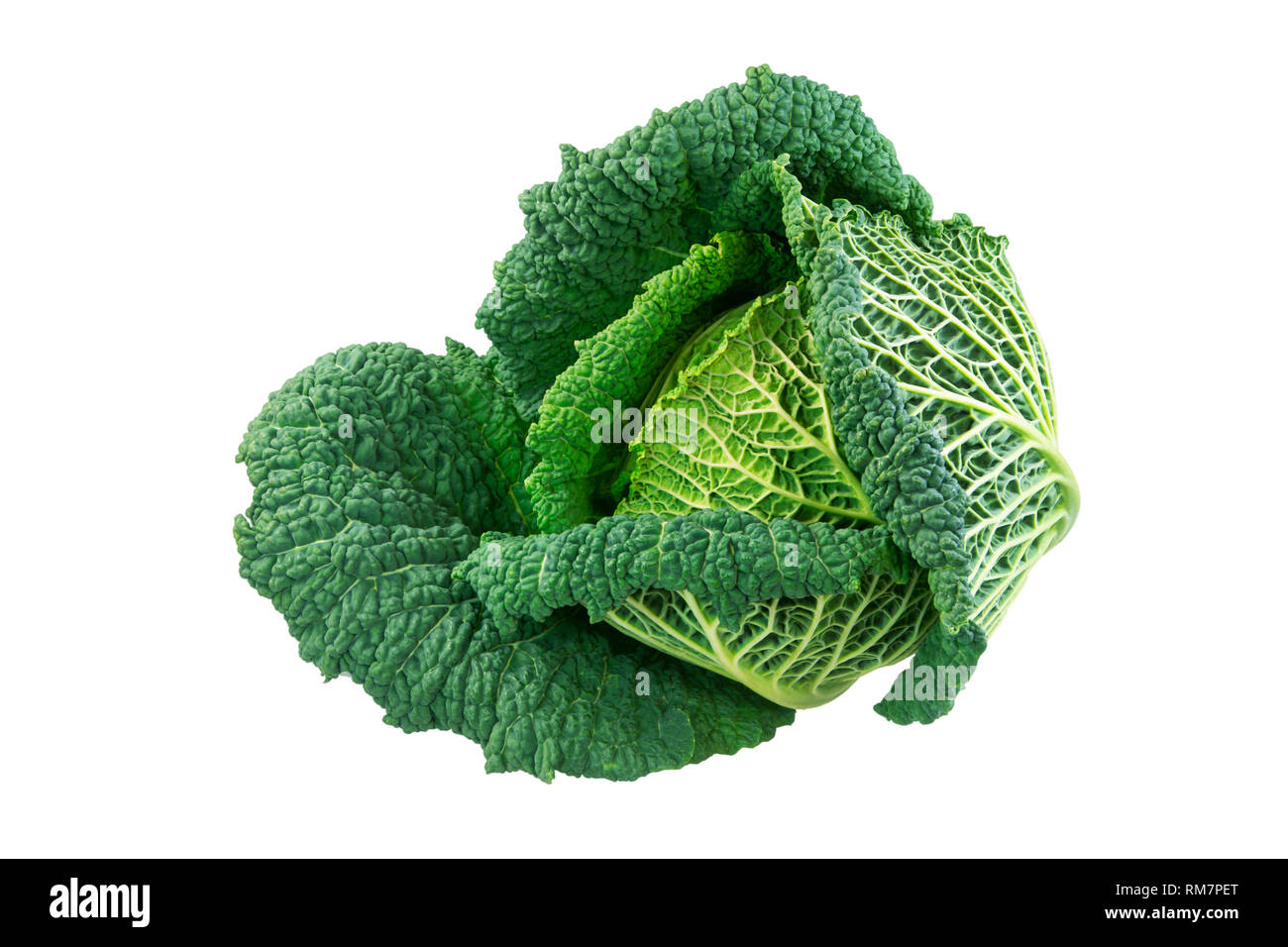 Primo piano di un fresco isolato la verza testa Foto Stock