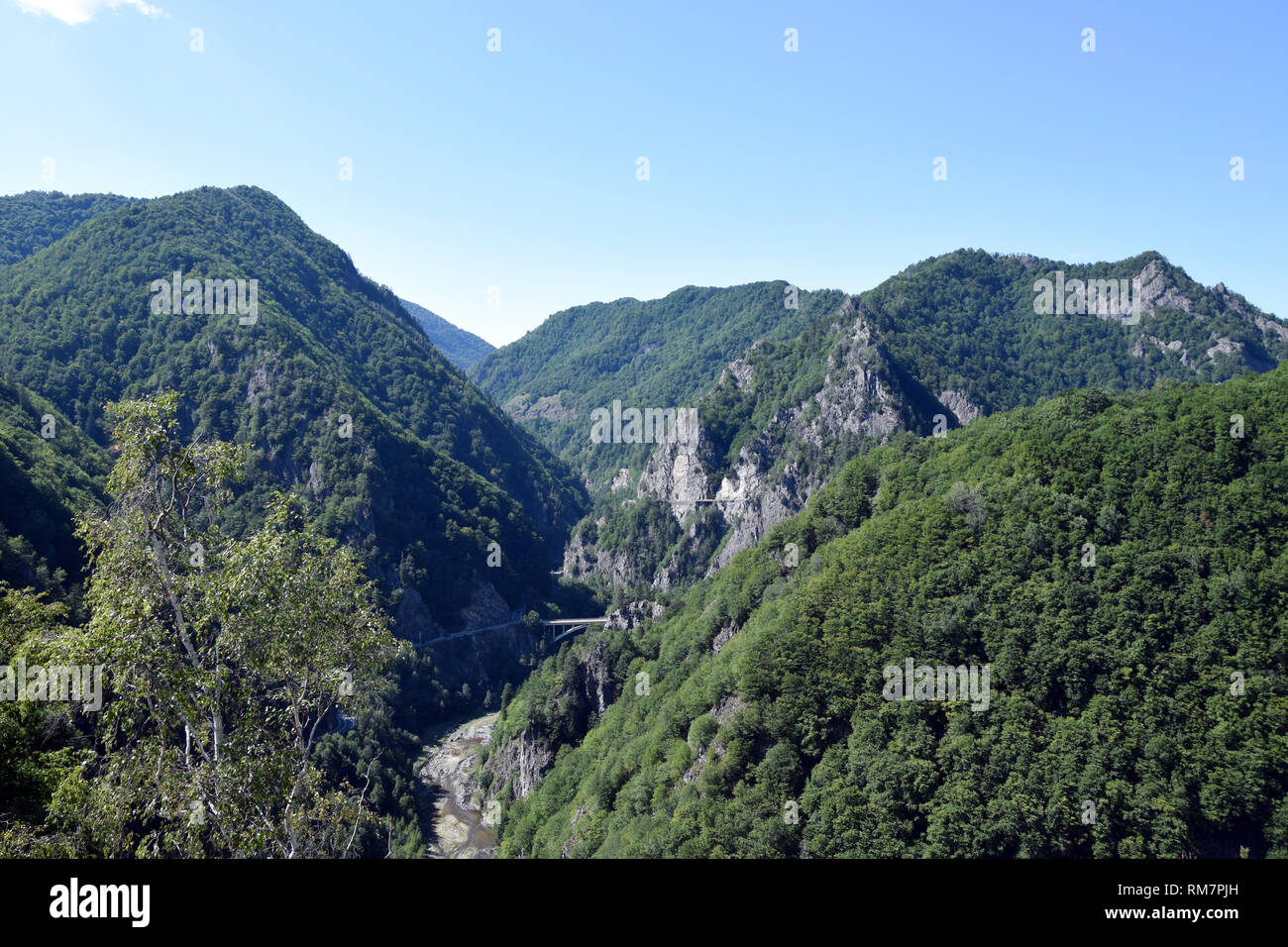 Montare Cetatea vicino castello di Poenari. Arges River Valley, Romania. Foto Stock
