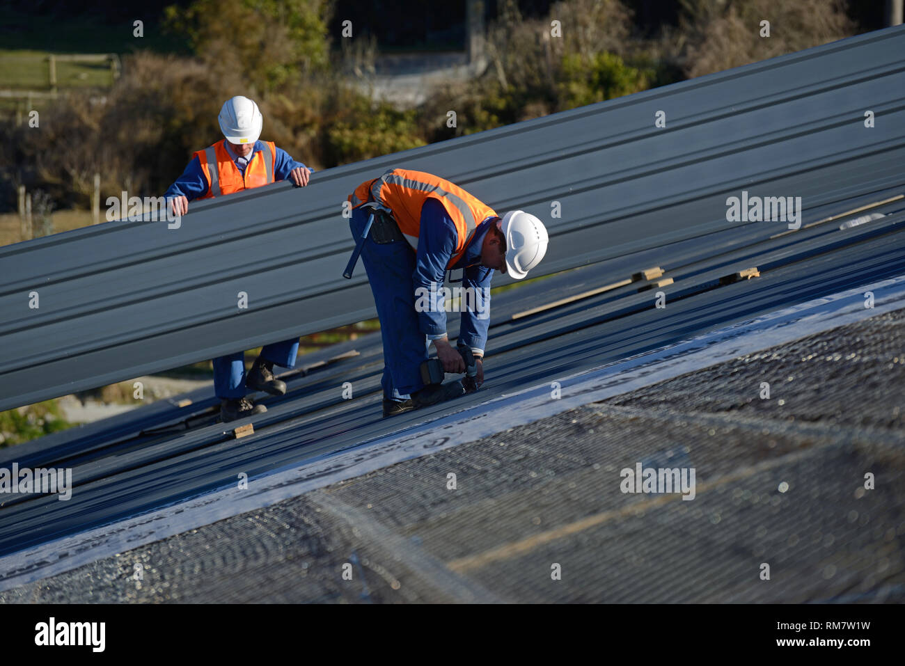 Un costruttore di viti di ferro di copertura per il tetto di un grande edificio commerciale vicino a Greymouth, Nuova Zelanda Foto Stock