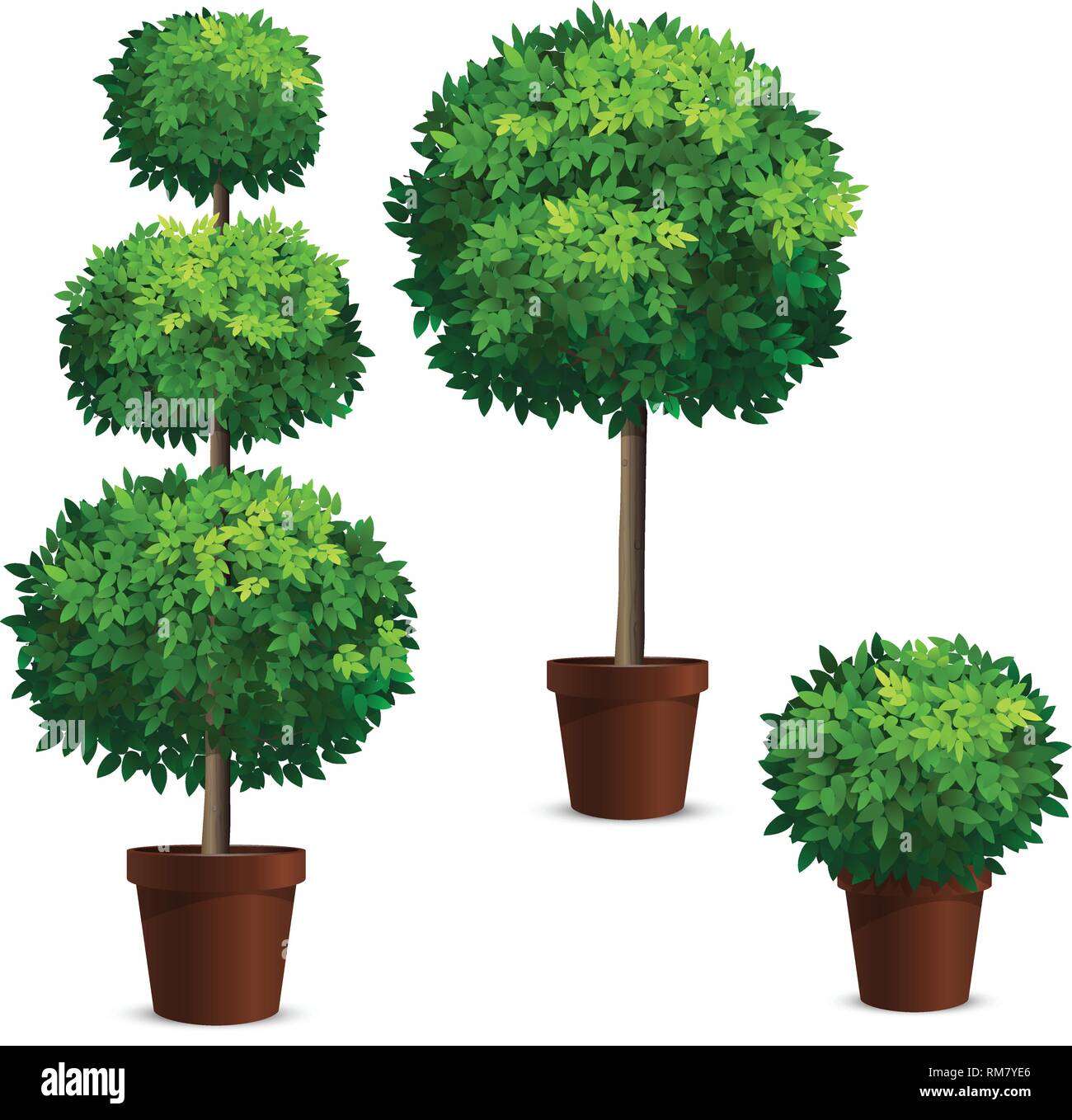 Set di topiaria da alberi in un pots. Impianti per la progettazione dei giardini. Illustrazione Vettoriale