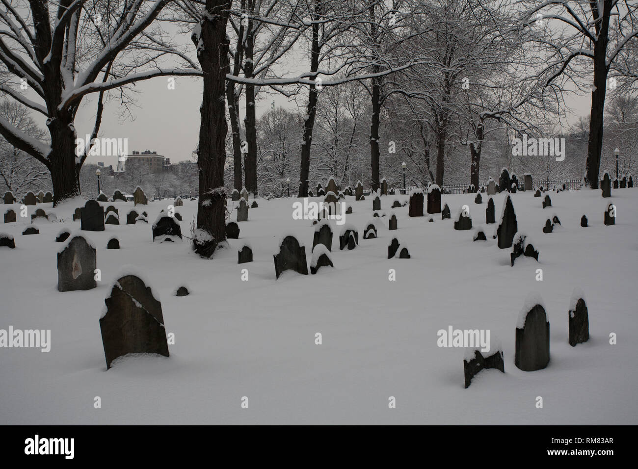 Boston, contea di Suffolk, Massachusetts, STATI UNITI D'AMERICA Foto Stock