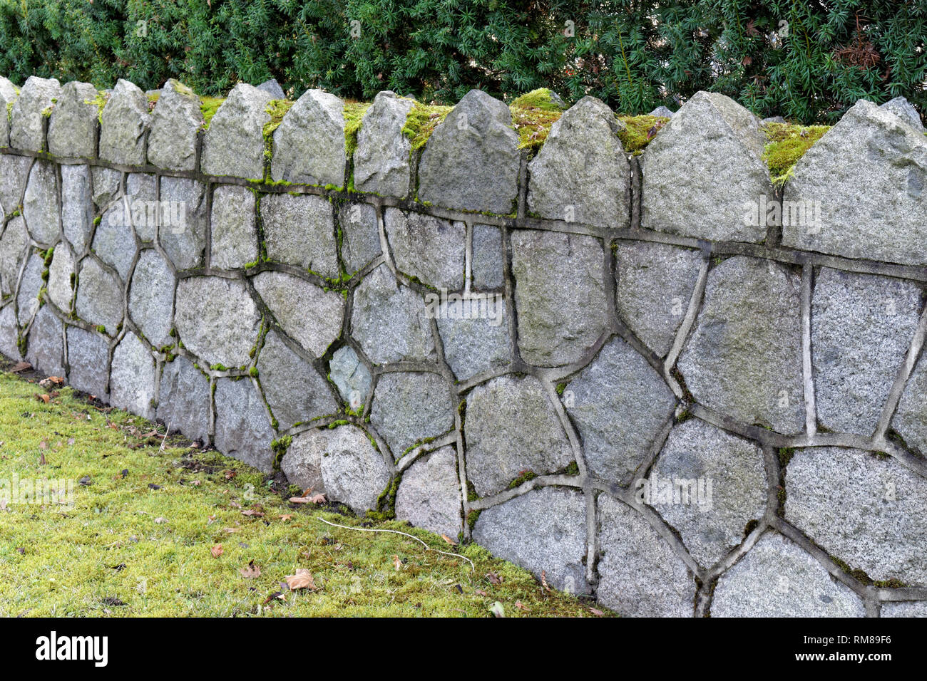 Split faccia muro di pietra naturale con malta, Vancouver, BC, Canada Foto Stock