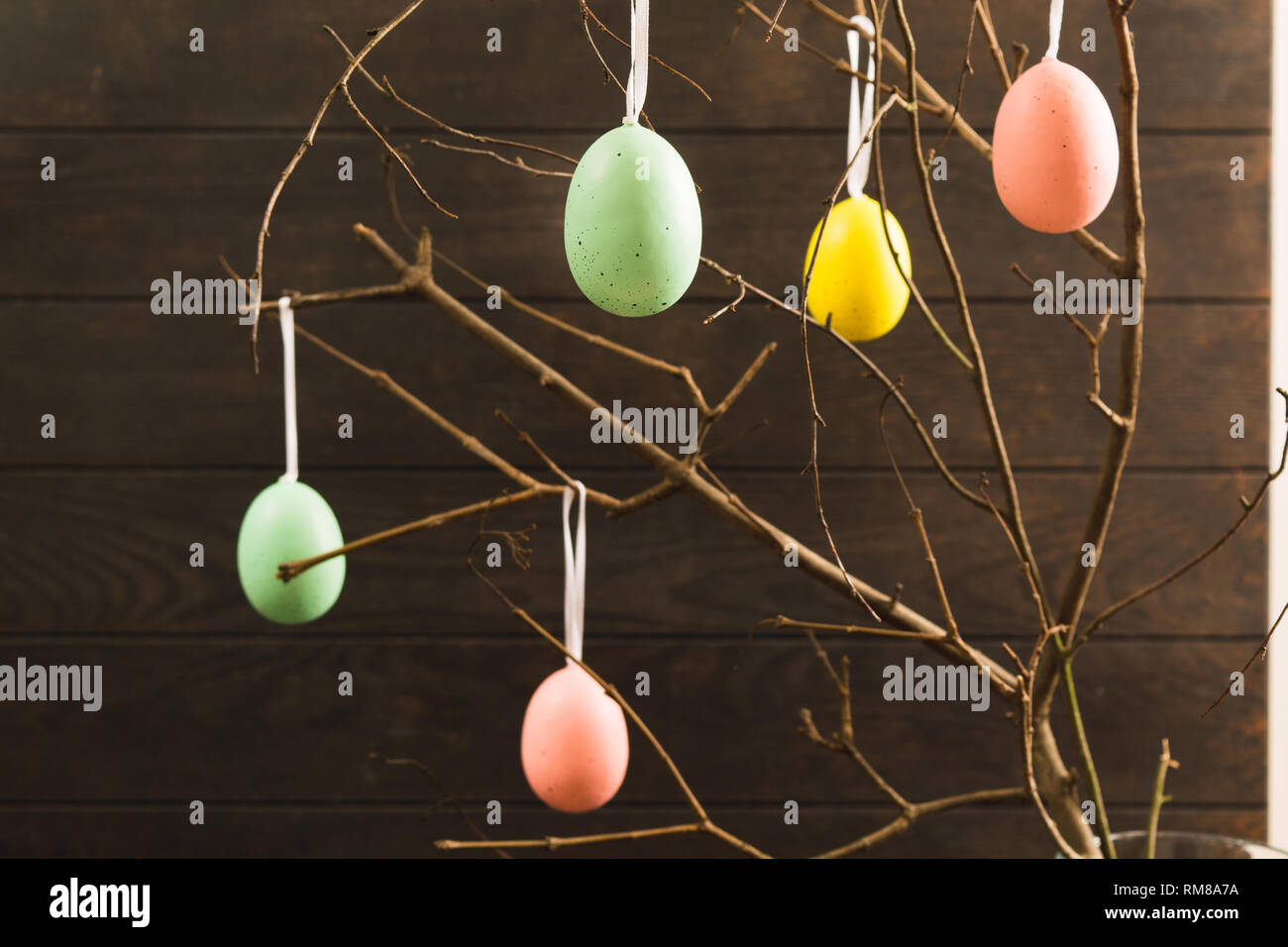 Uova colorate sui rami con legno scuro dello sfondo Foto Stock