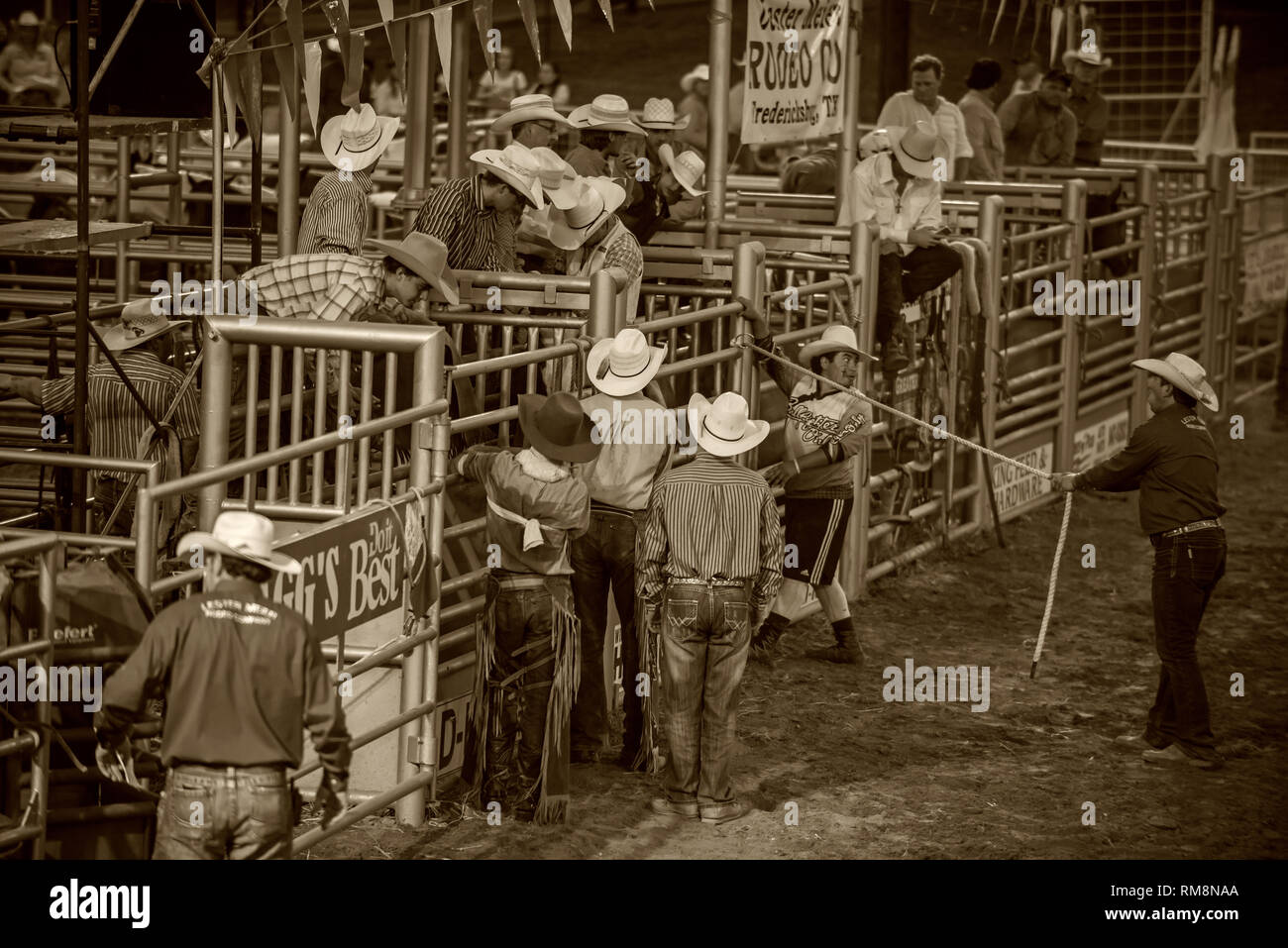 Cowboy pronto per bareback pilota al rodeo Foto Stock