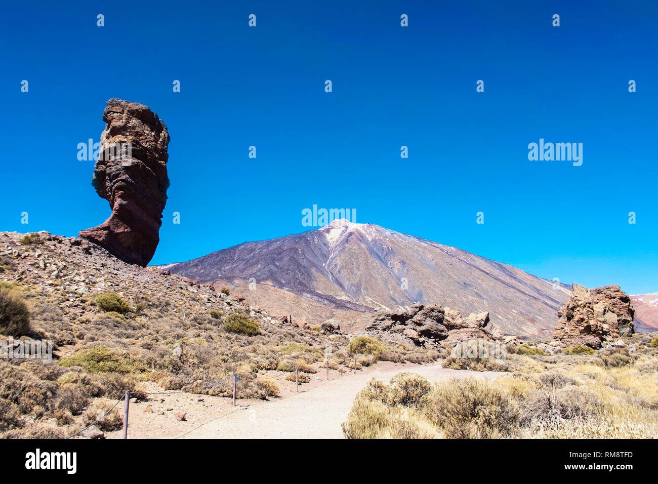 Parque Nacional del Teide Tenerife Foto Stock