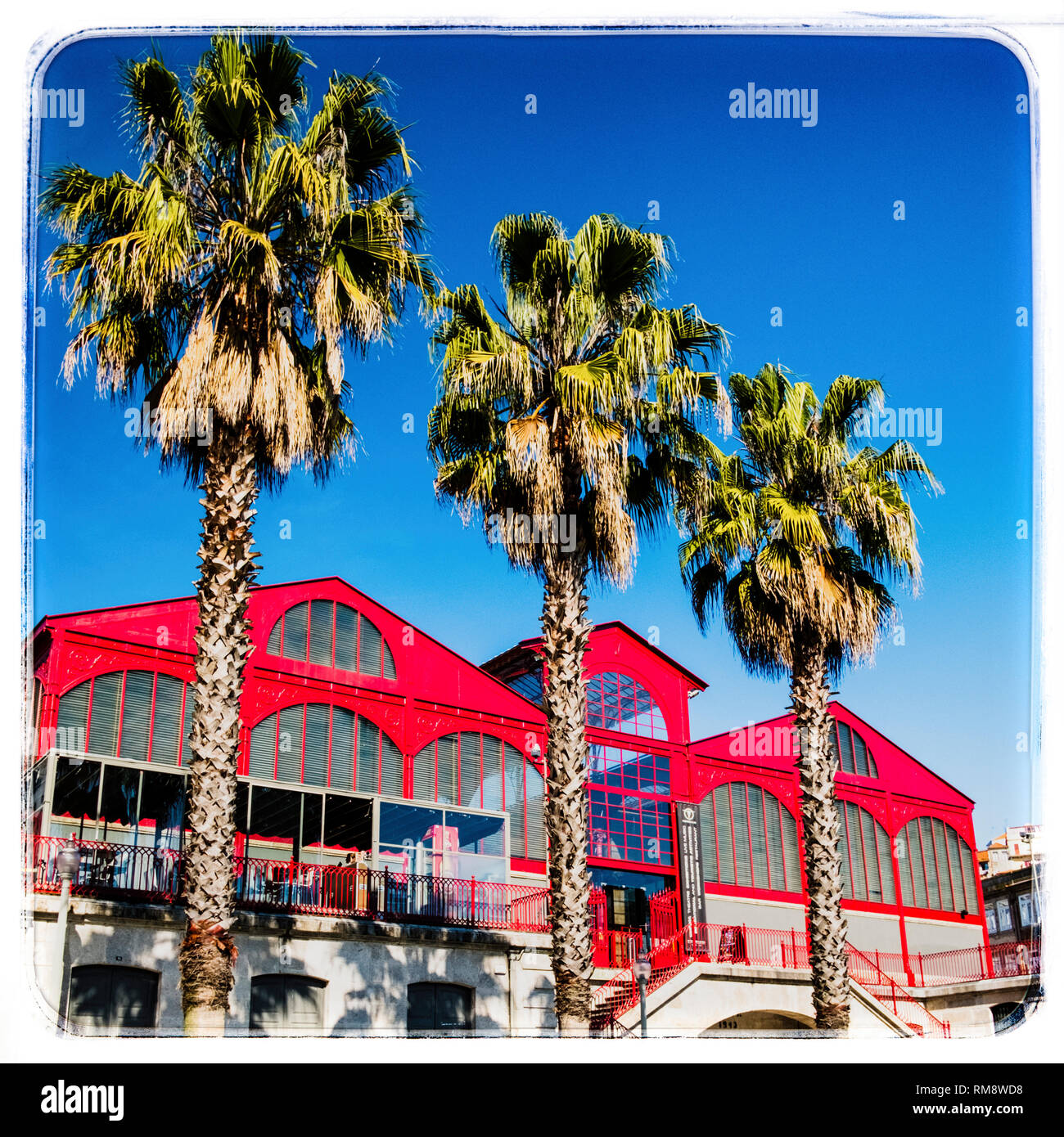 Mercado Ferreira Borges, Porto Foto Stock