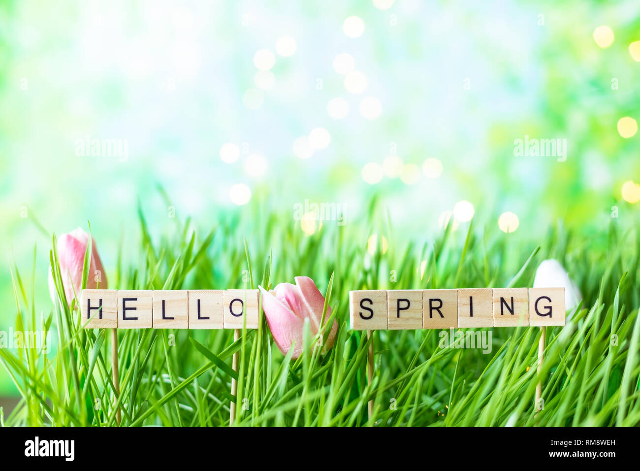 Iscrizione Ciao la molla sullo sfondo di estate verde erba con rugiada Foto Stock