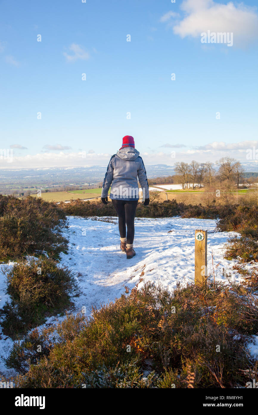 Donna che indossa abiti impermeabili e hat a piedi attraverso la neve in inverno sulle colline Bickerton in Sud Cheshire England Regno Unito Foto Stock