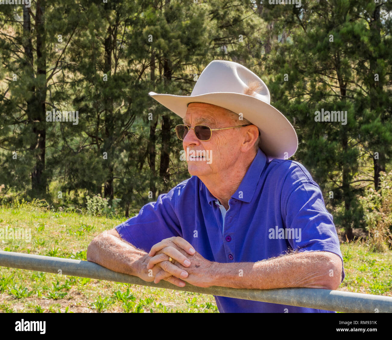 Anziani agricoltore Australiano, guardando sopra un recinto in un paddock. Foto Stock