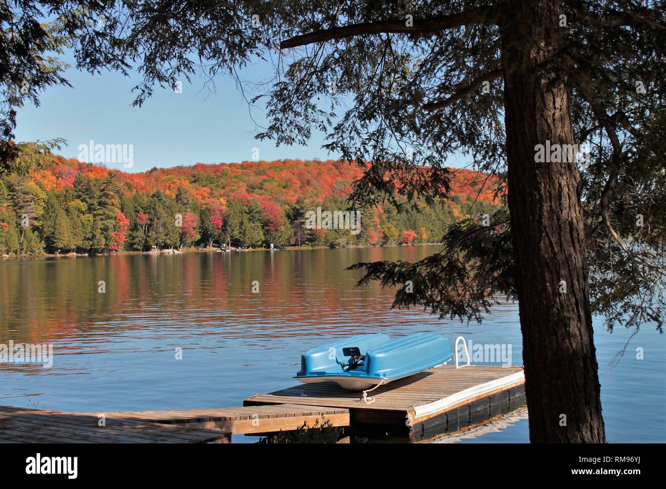 Lago Amaro in autunno, riflettendo bellissimi colori, Toronto. Canada Foto Stock