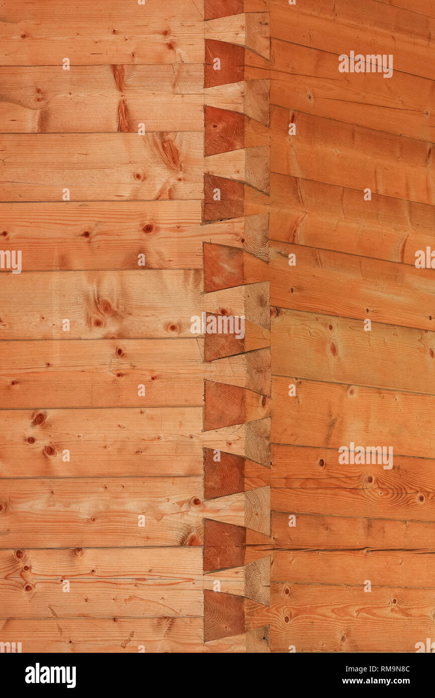 Mediante incastro a coda di rondine o normale incastro a coda di rondine forte comune di dettaglio su una parete in legno Foto Stock