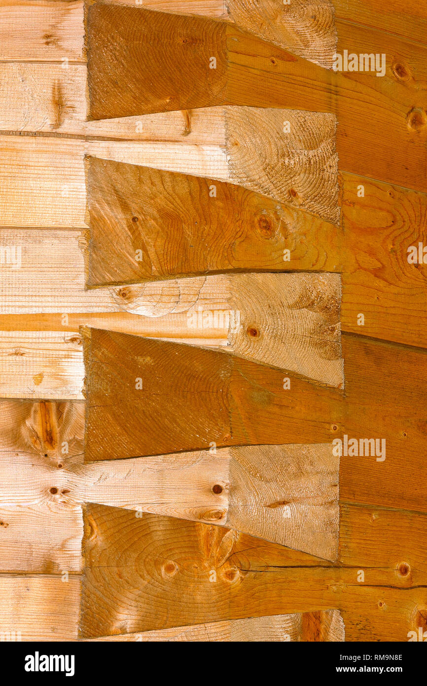 Dettaglio a coda di rondine molto di un forte impegno comune su una parete in legno Foto Stock