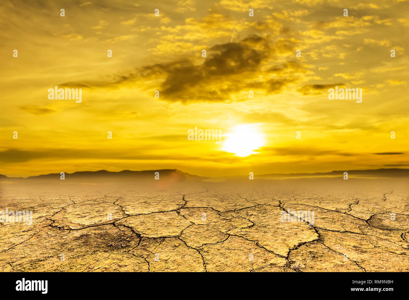 Siccità terreni e clima caldo Foto Stock