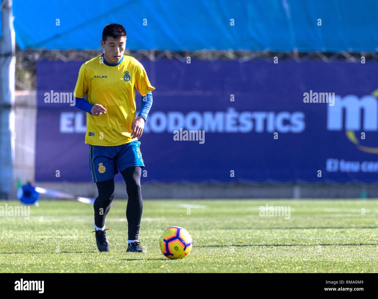 Barcellona, Spagna. Xiv Feb, 2019. Wu Lei di della Cina prende parte ad aprire la sessione di formazione del campionato spagnolo team RCD Espanyol di Barcellona, Spagna, il 14 febbraio, 2019. Credito: Joan Gosa/Xinhua/Alamy Live News Foto Stock