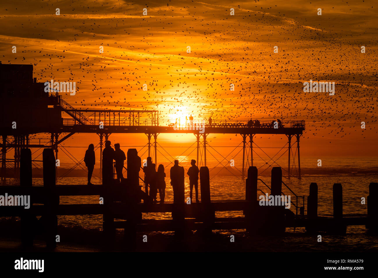 Aberystwyth Wales UK, 14 Febbraio 2019: Regno Unito Meteo. Come il sole tramonta drammaticamente in occidente alla fine di un glorioso giorno di primavera-come tempo caldo, persone linea il molo a Aberystwyth Wales per guardare le decine di migliaia di storni piomba di posatoio per la notte della foresta di ghisa gambe sotto Aberystwyth vittoriana molo sul mare. La west coast città è una delle poche aree urbane posatoi nel paese e attira gente da tutto il Regno Unito per testimoniare la spettacolare nightly visualizza tra ottobre e marzo. Photo credit Keith Morris / Alamy Live News Foto Stock