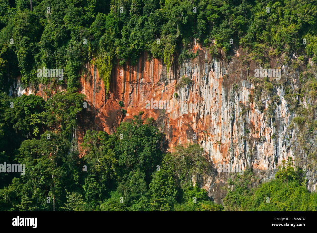 La foresta pluviale si blocca sulle formazioni carsiche che si elevano al di fuori della LAN CHEOW lago in Khao Sok NATIONAL PARK - Tailandia Foto Stock