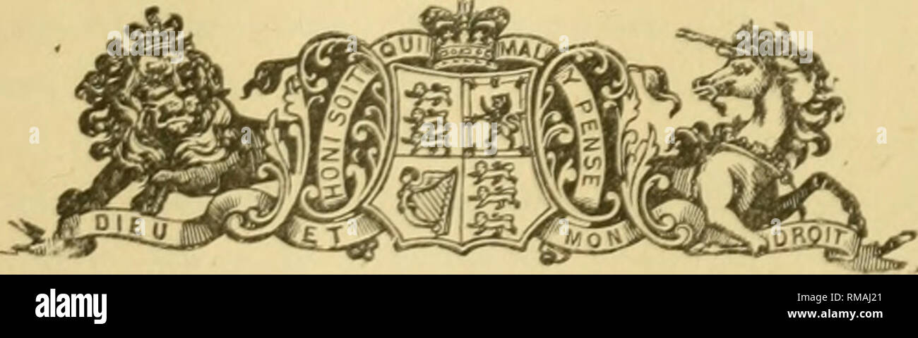 . Relazione annuale. Società Entomologica di Ontario; pesti di insetto; insetti -- Ontario periodici. Trentaduesima relazione annuale della Società Entomologica OP ONTARIO 1901. Pubblicato da Ontario per il Dipartimento di Agricoltura, TORON'iO.) stampato dalla fine dell Assemblea Legislativa di Ontario.. TORONTO: stampate e pubblicate da L. K. Cameron, Stampante al re la più eccellente maestà. 1902.. Si prega di notare che queste immagini vengono estratte dalla pagina sottoposta a scansione di immagini che possono essere state migliorate digitalmente per la leggibilità - Colorazione e aspetto di queste illustrazioni possono non assomigliare perfettamente l'originale Foto Stock