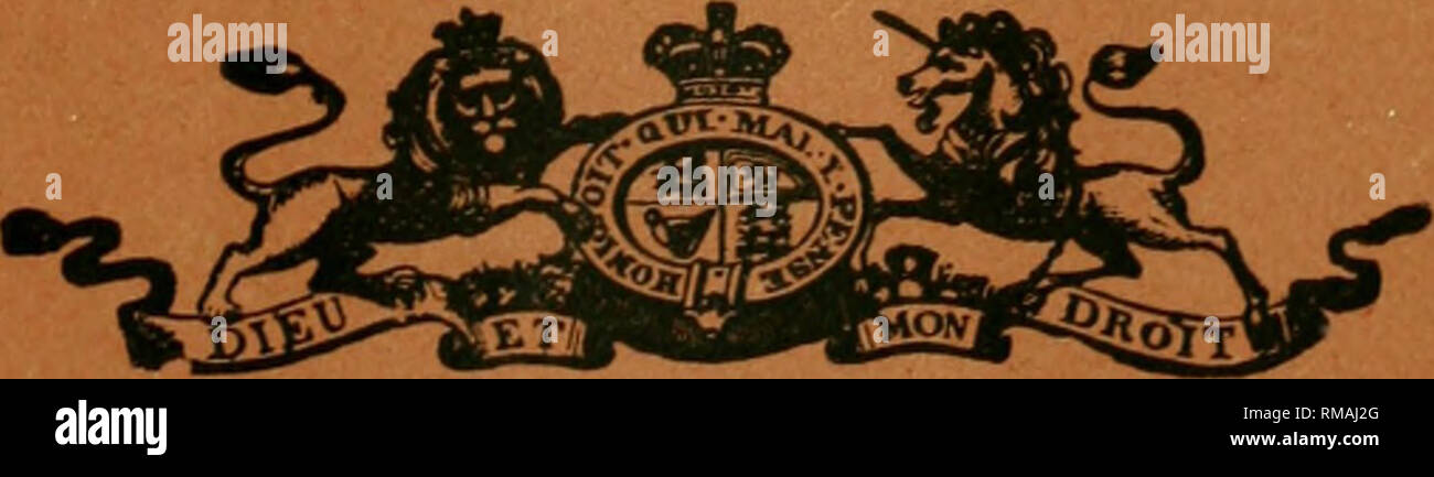 . Relazione annuale. Società Entomologica di Ontario; pesti di insetto; insetti -- Ontario periodici. J&gt;- .- ^ECTS.1 Trentaduesima relazione annuale della Società Entomologica ONTARIO 1901. (Pubblicato da Ontario per il Dipartimento di Agricoltura, Toronto.) stampato dalla fine dell Assemblea Legislativa di Ontario.. TORONTO: stampato e pubblicato da L, K. Cameron, Stampante al re la più eccellente maestà. 1902.. Si prega di notare che queste immagini vengono estratte dalla pagina sottoposta a scansione di immagini che possono essere state migliorate digitalmente per la leggibilità - Colorazione e aspetto di queste illustrazioni potrebbero non perfettamente resemb Foto Stock