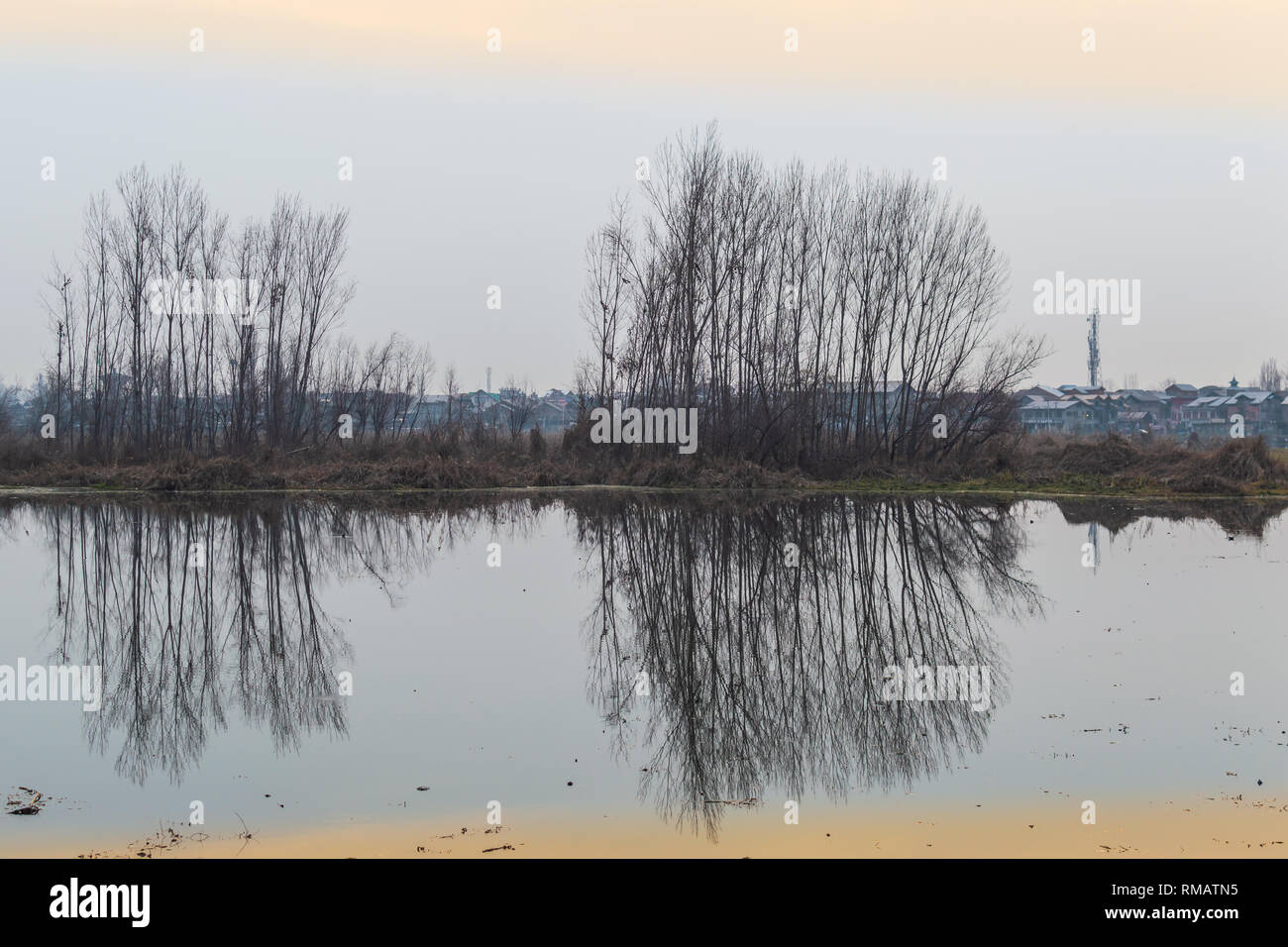 La riflessione di alberi in un acqua inquinata corpo. Lievi verdognoli di colore arancione dovuta al tramonto riflesso sulla superficie del lago. Foto Stock