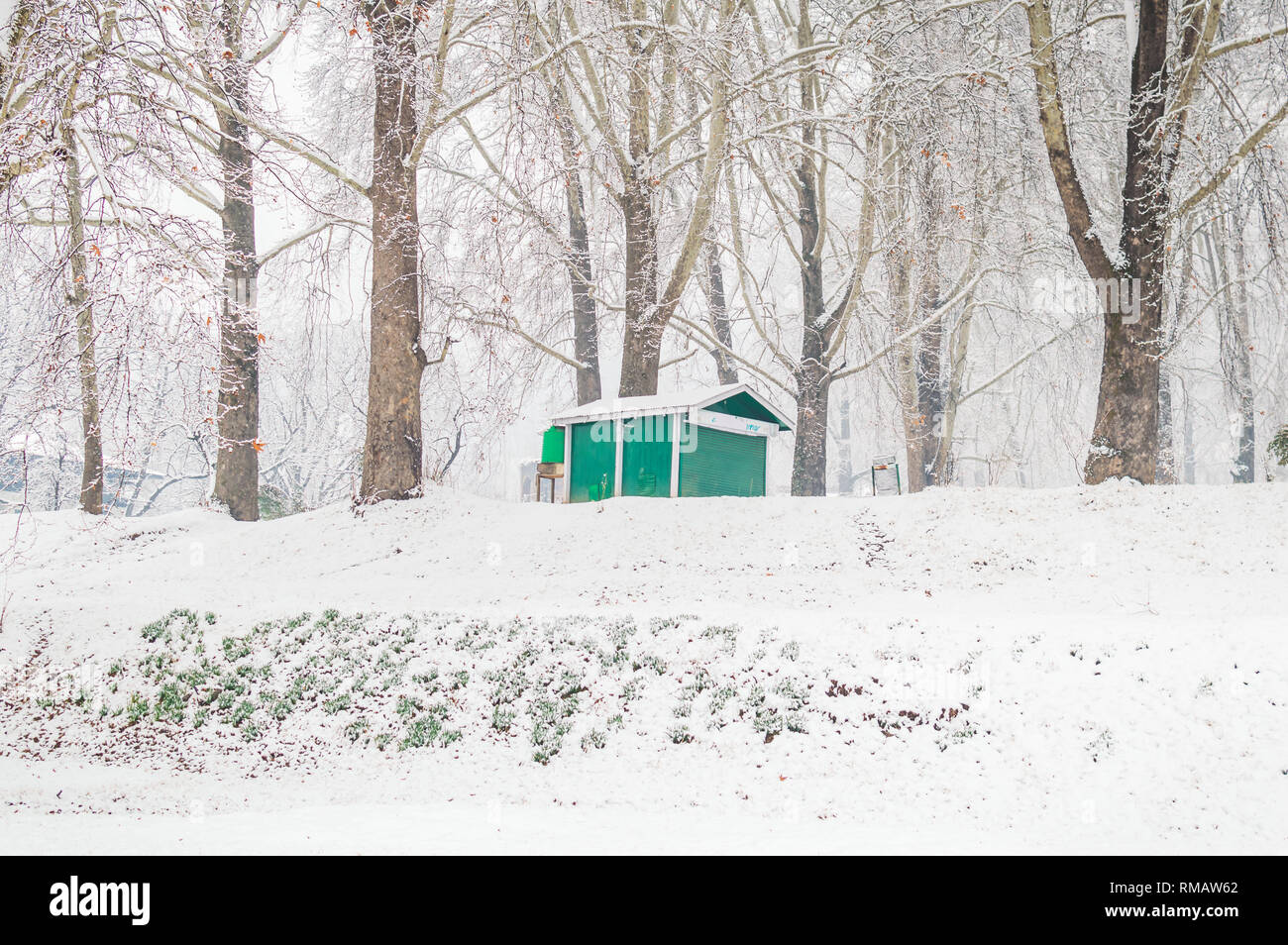 Un colore verde hut lodge cabina in un fitto bosco durante la stagione di neve. Una casa in un bianco paesaggio invernale Foto Stock