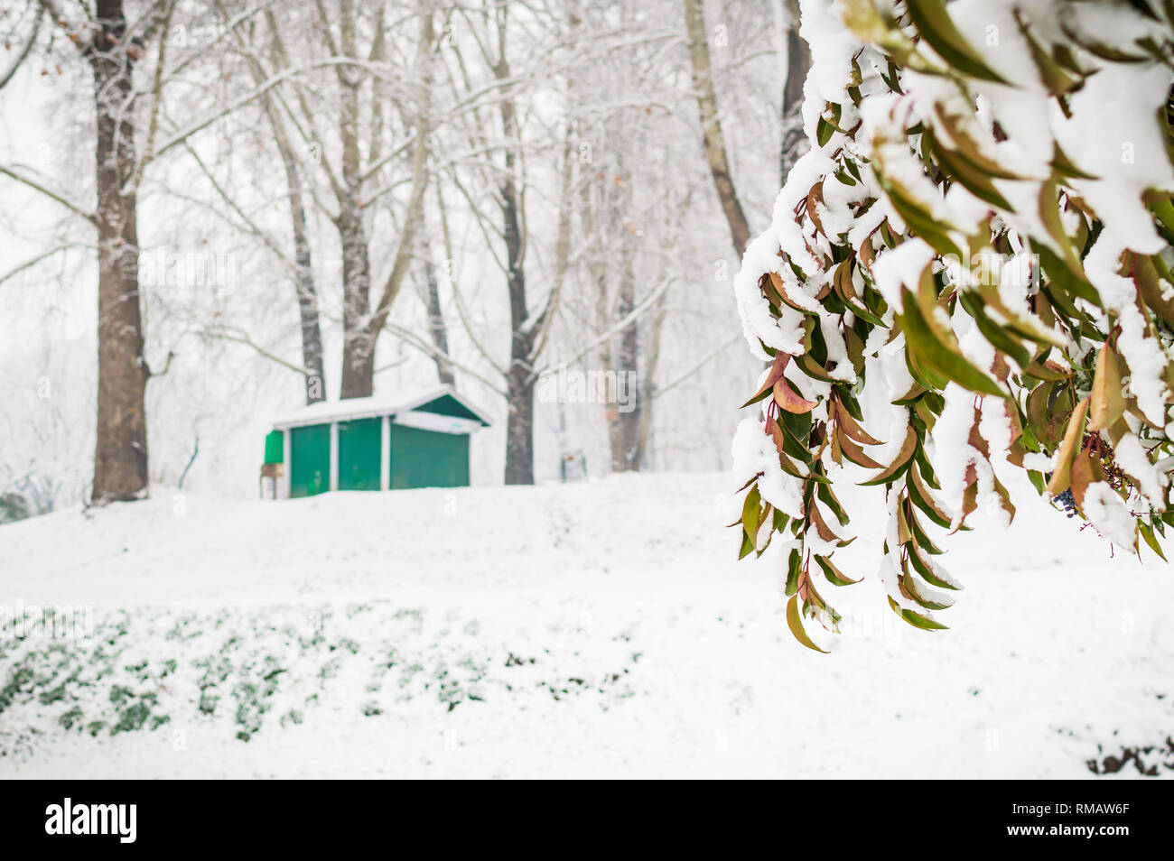 Un colore verde hut lodge cabina in un fitto bosco durante la stagione di neve. Una casa in un paesaggio invernale Foto Stock