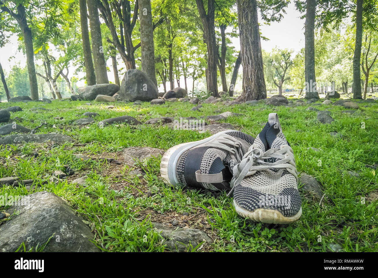 Scarpe mantenuto su erba in una zona forestale Foto Stock