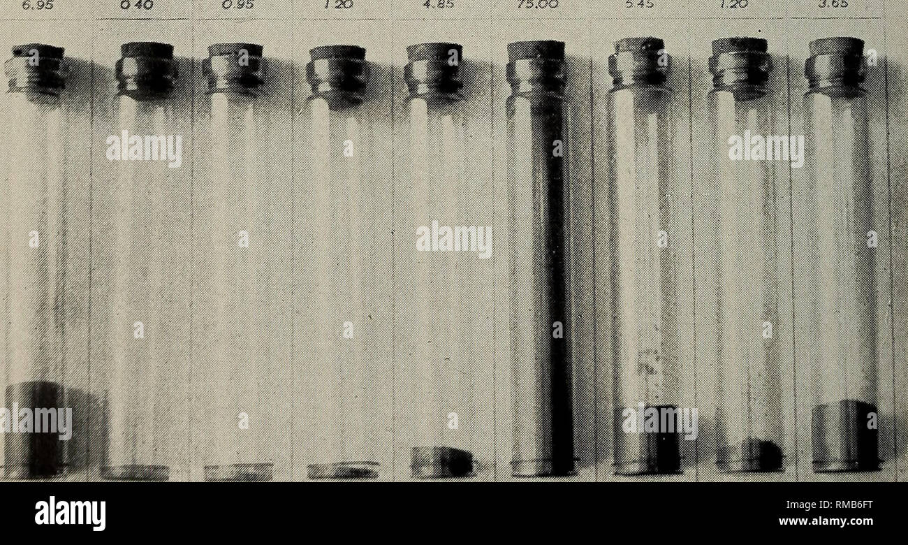 . Relazione annuale. Educazione agricola. , . * Un mercato ideale-suolo di giardino. Berlina esperimento Sj ma. 55 Ac-Rsci TEXTURE DI AMHERST SUOLO Ho. 2? 0 ,95 4D. Non è ben adattato al mercato del giardinaggio.. Si prega di notare che queste immagini vengono estratte dalla pagina sottoposta a scansione di immagini che possono essere state migliorate digitalmente per la leggibilità - Colorazione e aspetto di queste illustrazioni potrebbero non perfettamente assomigliano al lavoro originale. Massachusetts Agricultural College; Massachusetts Stazione di Esperimento Agricola; Massachusetts Stazione di Esperimento Agricola. Relazione annuale della berlina Esperimento Stazione della massa Foto Stock