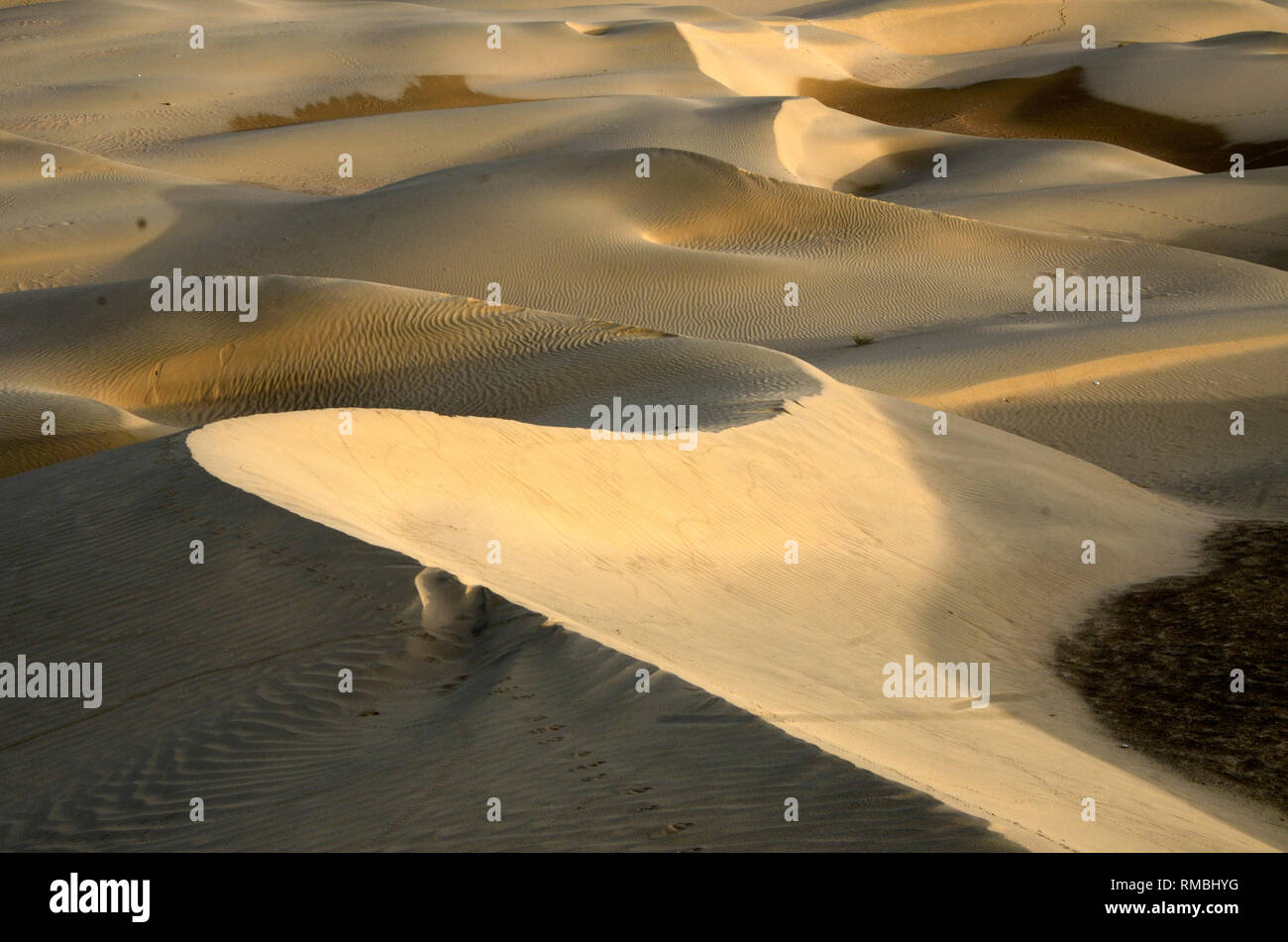 Dune di sabbia del deserto, Khuri, Jaisalmer, Rajasthan, India, Asia Foto Stock