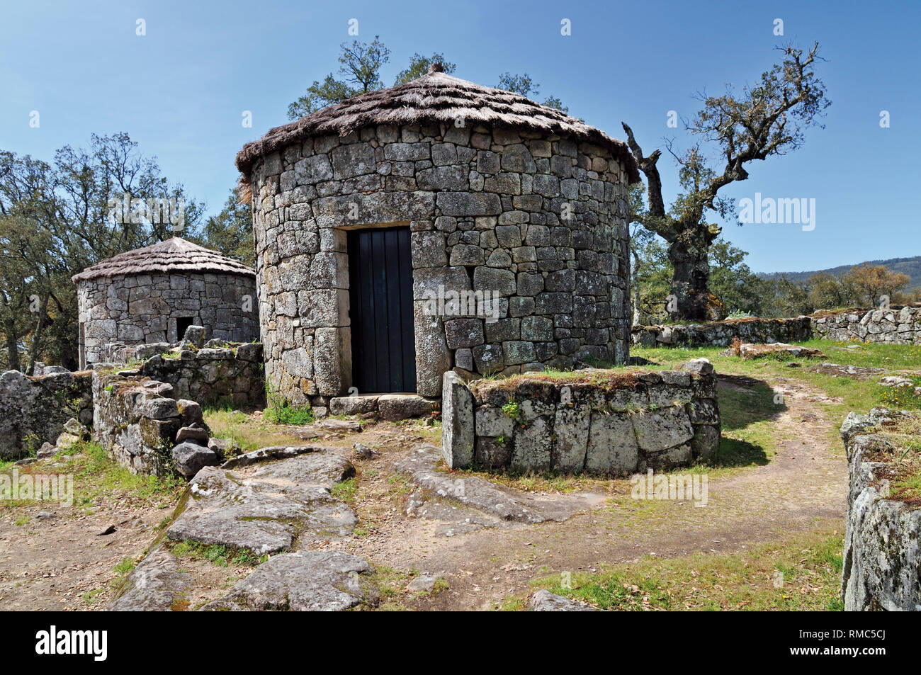Ricostruito castro case in pietra di ex insediamento celtico Citania de Briteiros Foto Stock