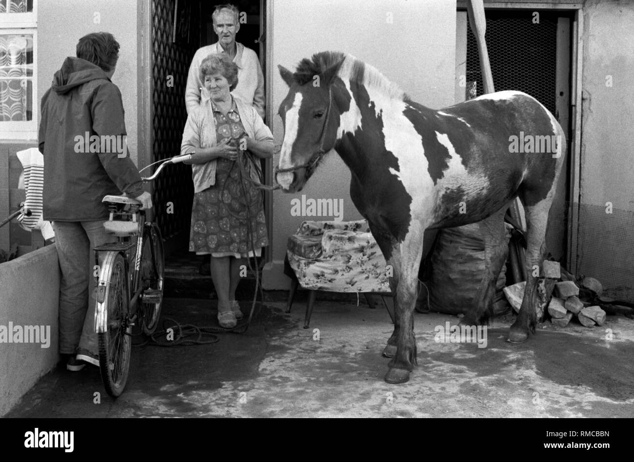 Negli anni Settanta la famiglia irlandese con pet cavallo urbano nel cortile anteriore della loro casa. Limerick, nella contea di Limerick, Eire. Costa occidentale dell'Irlanda meridionale 70s HOMER SYKES Foto Stock