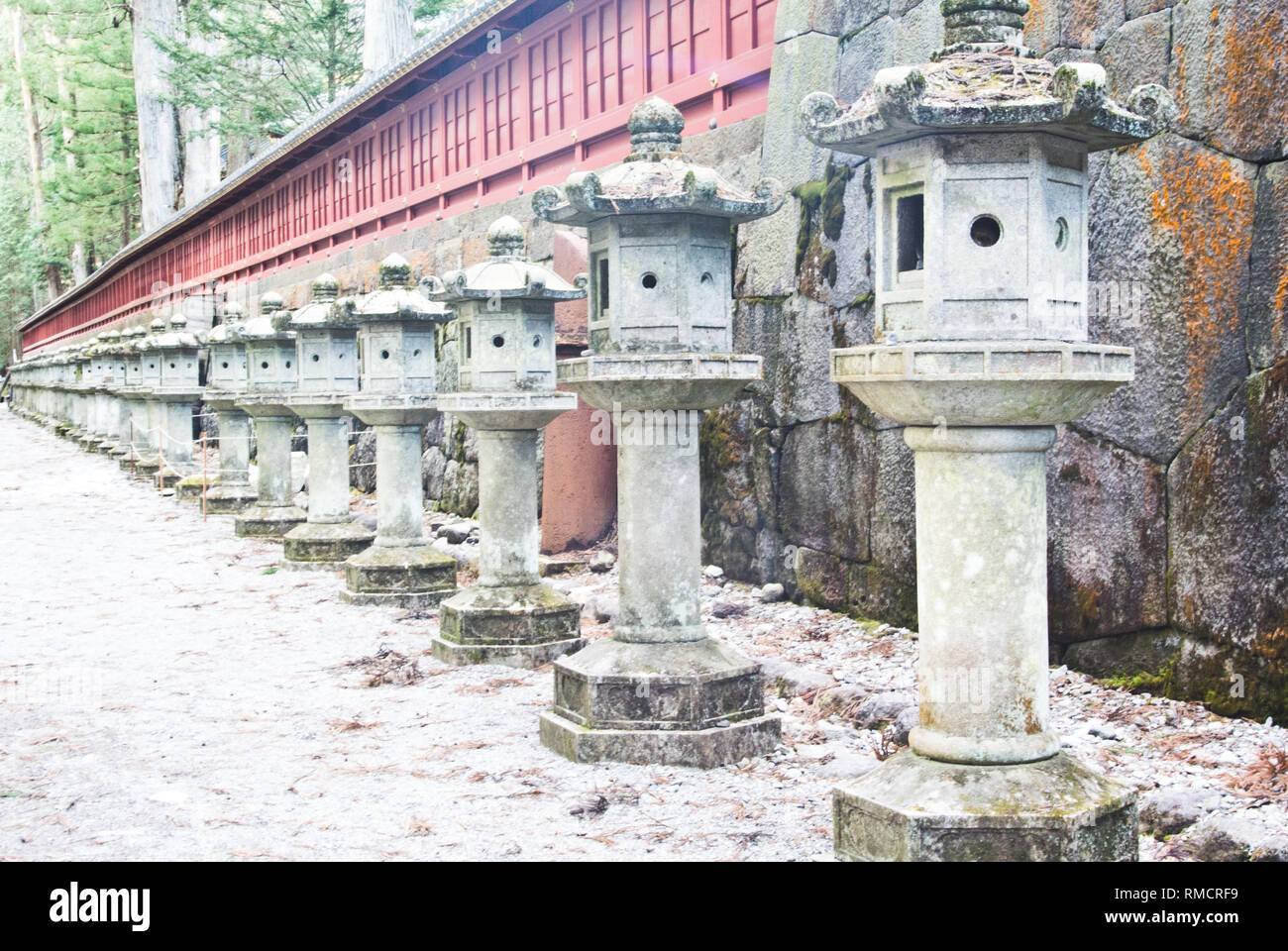 Lanterne di pietra fodera un percorso, Tosho-gu, Nikko, Giappone Foto Stock
