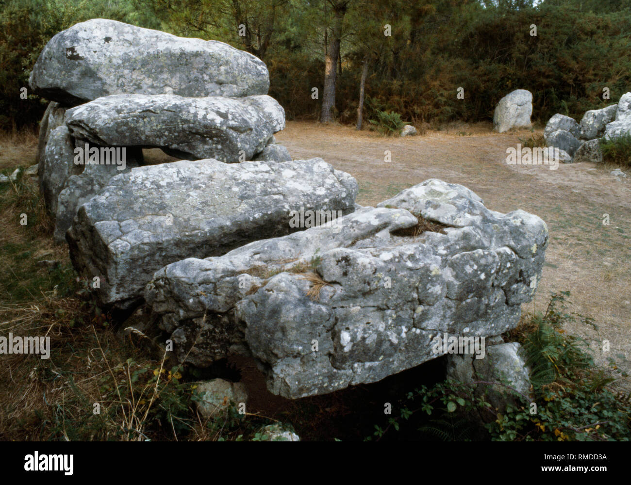 Mané Kerioned, Plouharnel, Brittany, Francia: vista ne del western di 3 passaggio del Neolitico tombe disposte in una forma a U aperta al S. Foto Stock
