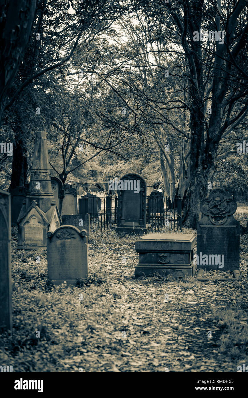 Camperdown cimitero, un cimitero storico situato su Church Street in Newtown sobborgo interno, Sydney, NSW, Australia Foto Stock