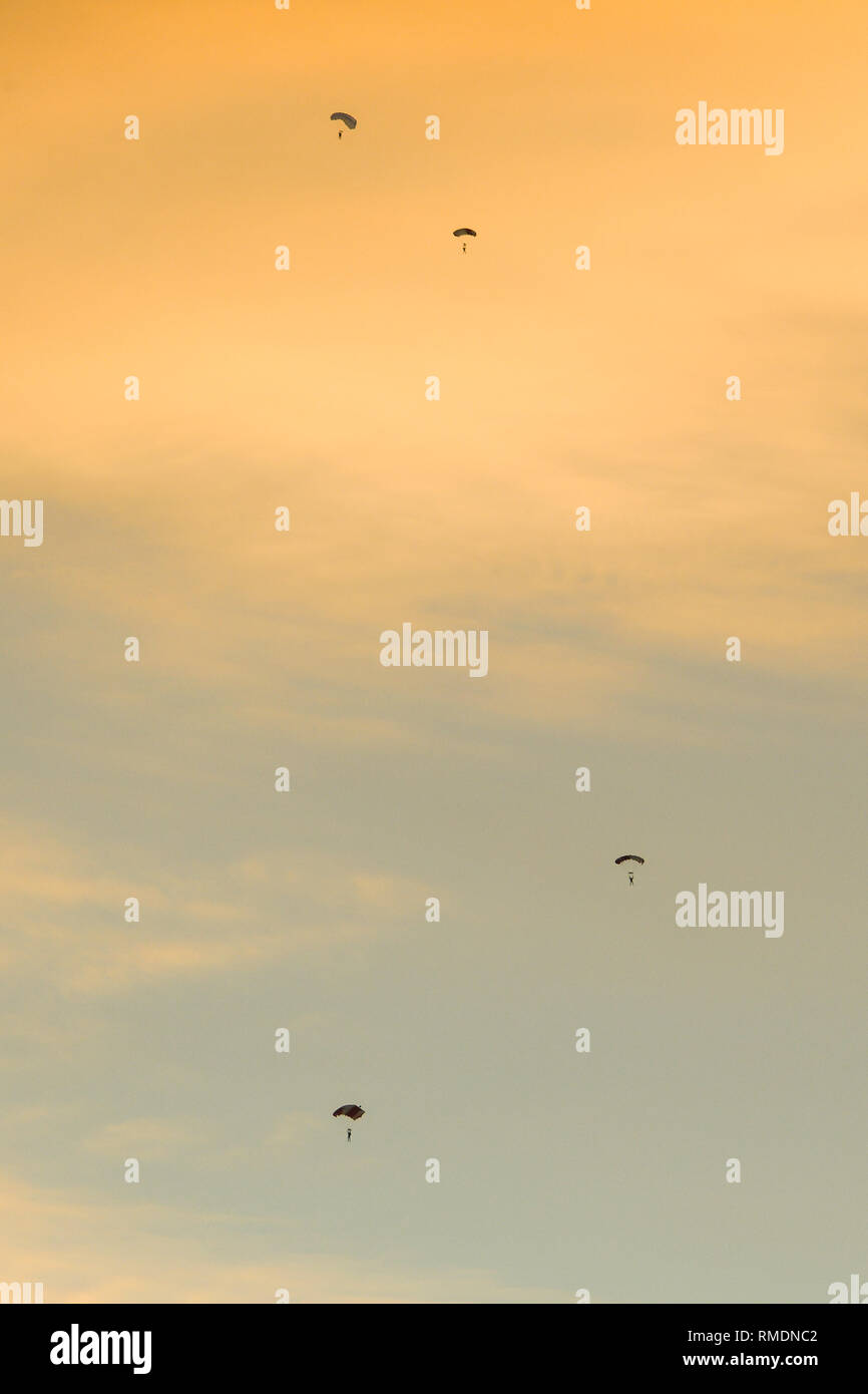 Silhouette di paracadutisti battenti lentamente sul paracadute nel bellissimo cielo al tramonto. Foto Stock