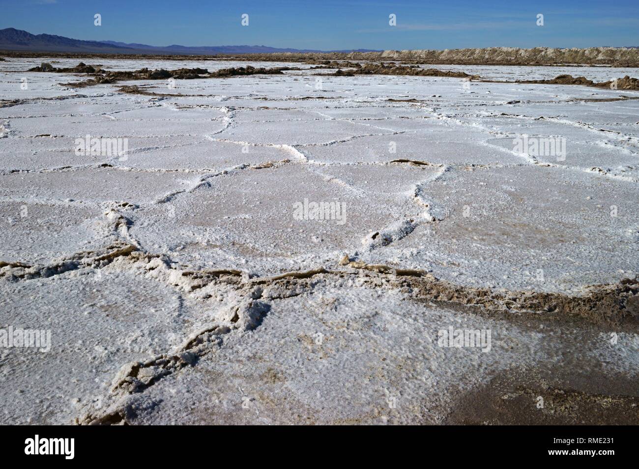 Vista del deserto di sale di campo con cristallizzato sale secco le formazioni e le montagne sullo sfondo Foto Stock